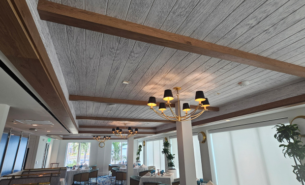 Acoustical Ceilings